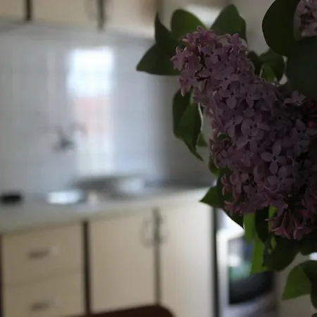 Apartament Donat Zadar