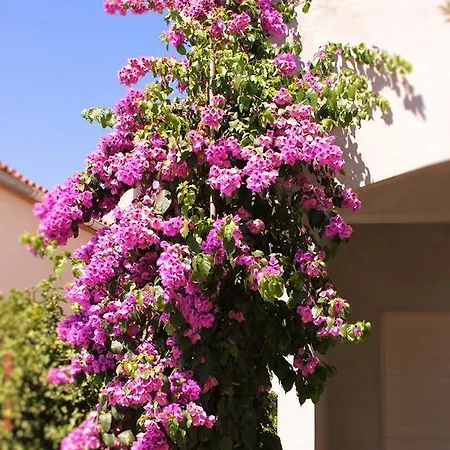 Διαμέρισμα Donat